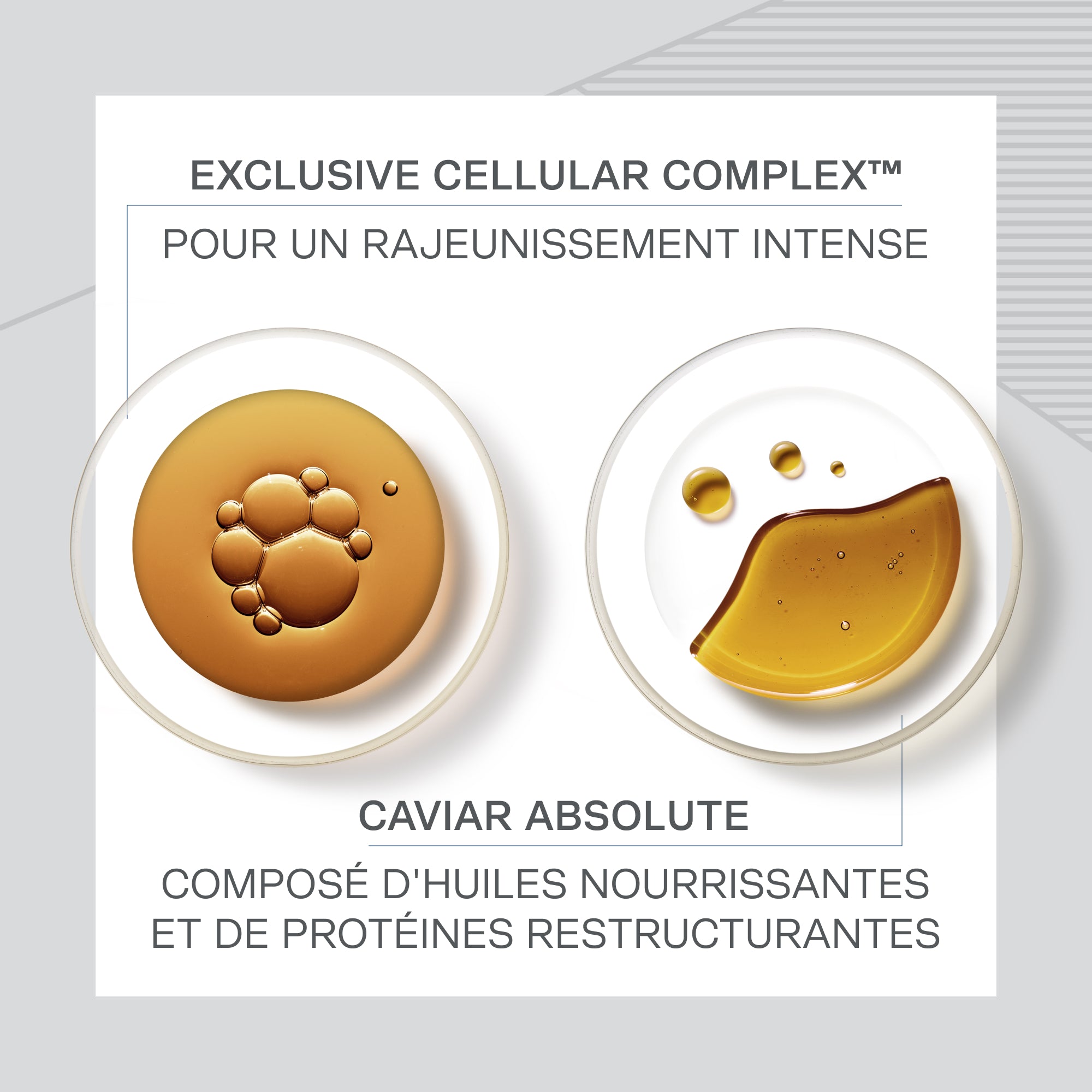 Skin Caviar absolute filler