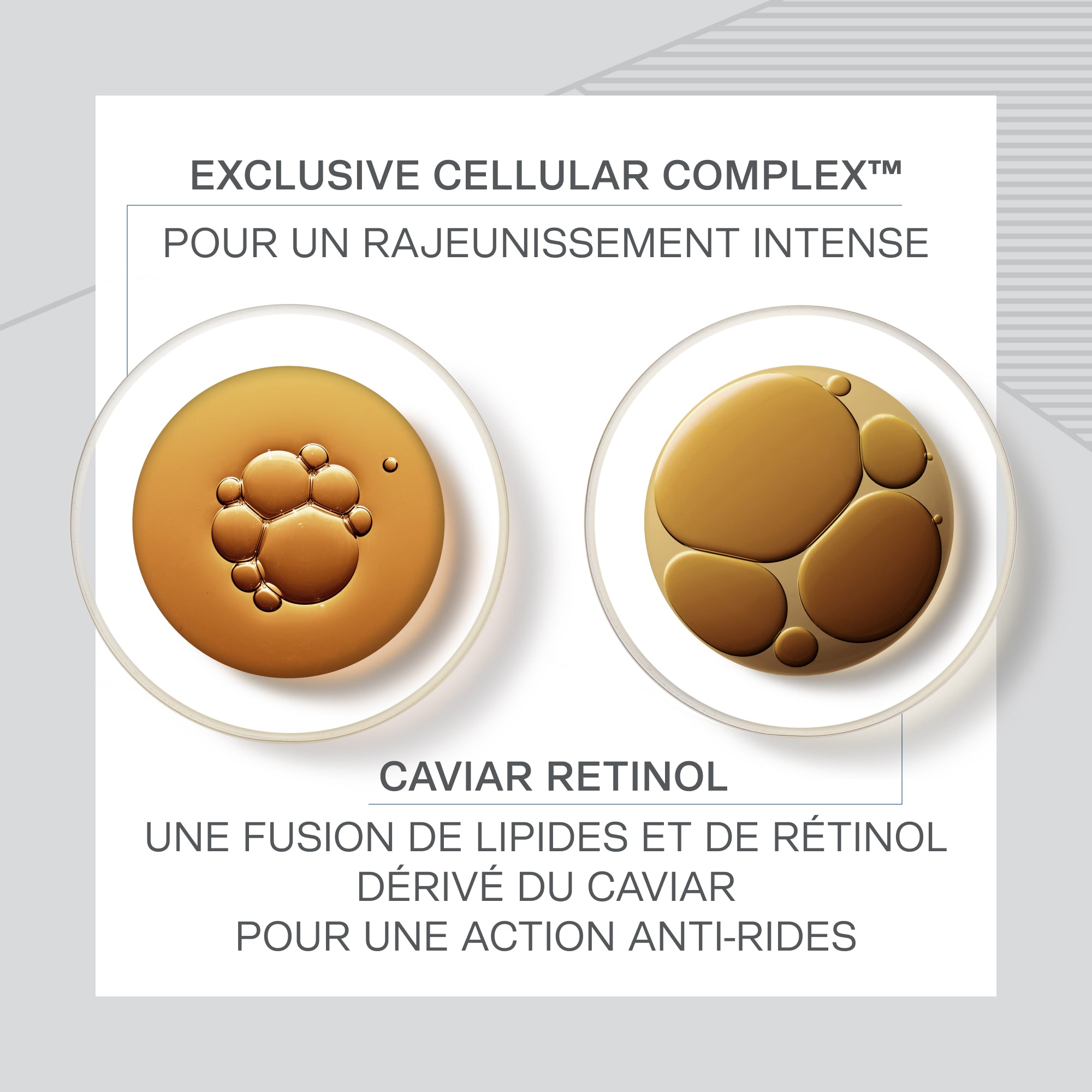 Skin Caviar Huile de nuit