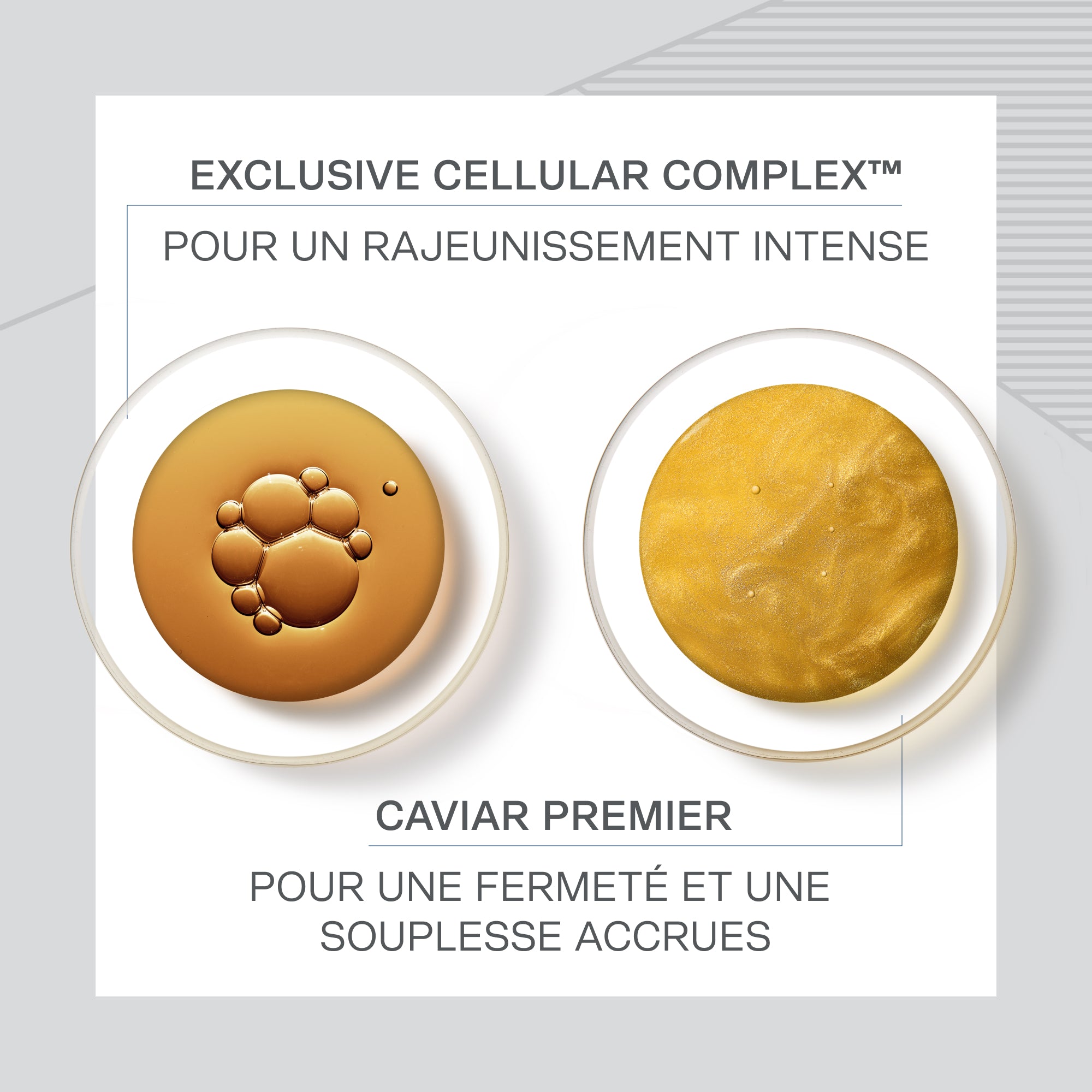 Skin Caviar Crème Luxe Fine, Crème Liftante et Hydratante, 50 ml
