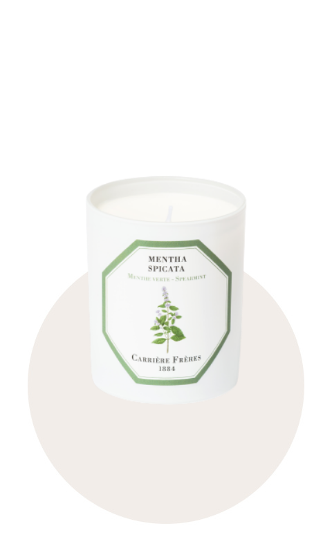 Bougie MENTHE VERTE