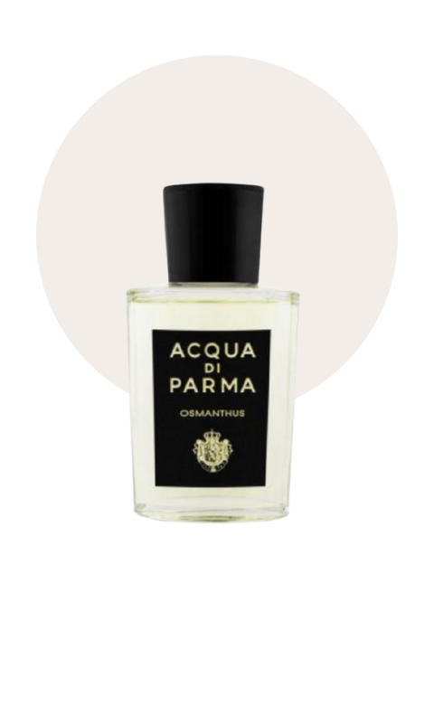 Signatures of the Sun Osmanthus