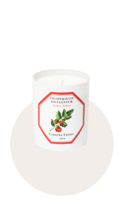 Bougie TOMATE