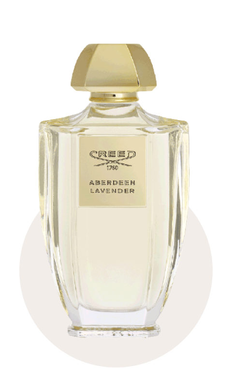 creed aberdeen lavande