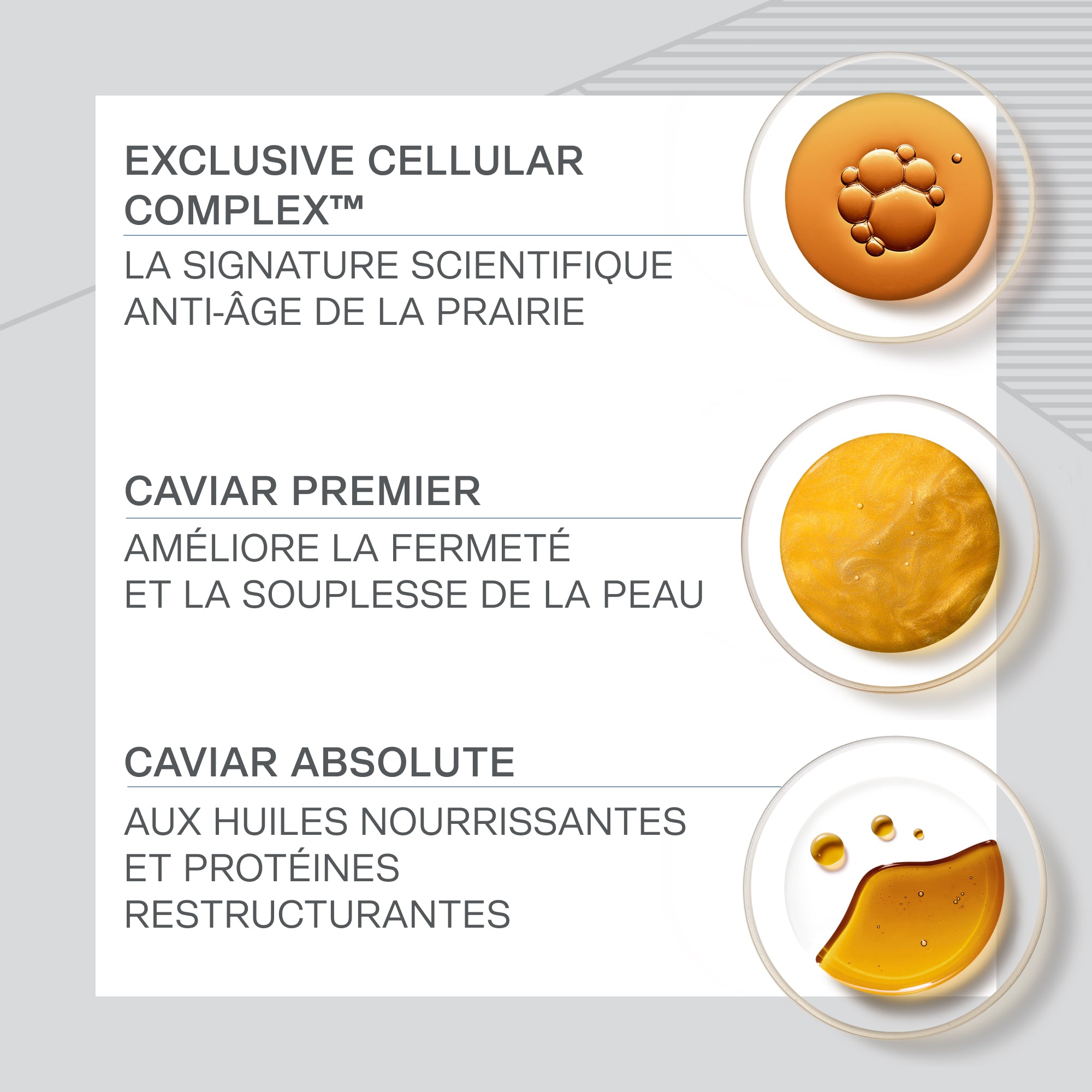 Skin Caviar concentré Liftant