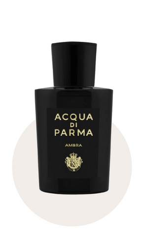 Signatures of the Sun Ambra