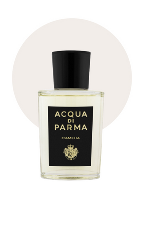 Signatures of the Sun Camelia