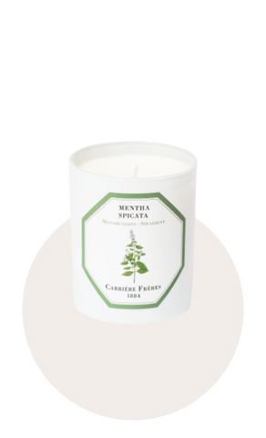Bougie MENTHE VERTE